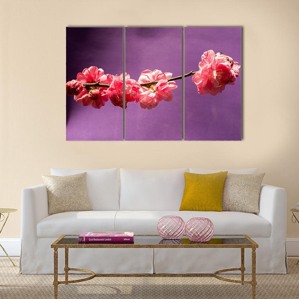Bloom Blossom Flowers Canvas Wall Art-3 Horizontal-Gallery Wrap-37" x 24"-Tiaracle