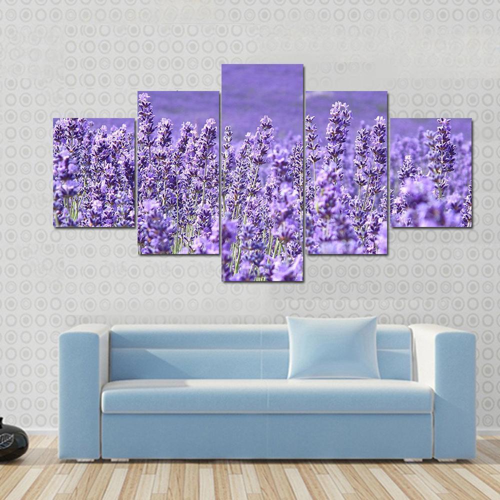 Blooming Lavenders Field Canvas Wall Art-5 Star-Gallery Wrap-62" x 32"-Tiaracle