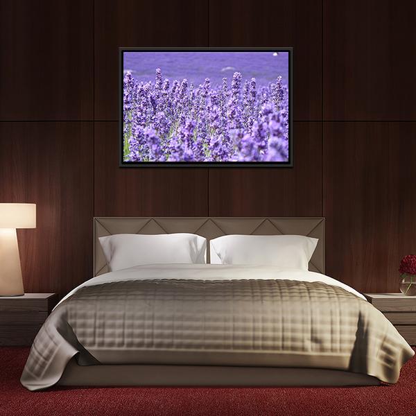 Blooming Lavenders Field Canvas Wall Art-3 Horizontal-Gallery Wrap-25" x 16"-Tiaracle