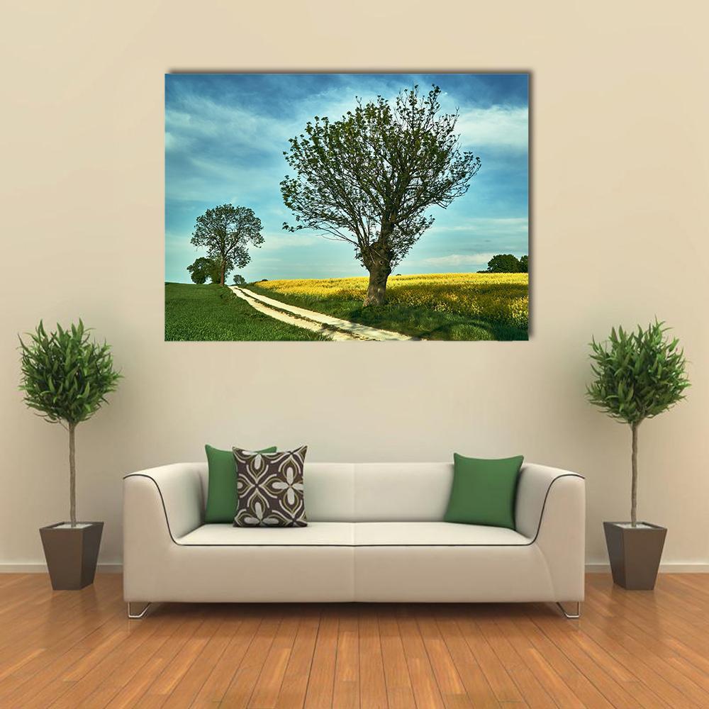 Blooming Rapeseed Poland Canvas Wall Art-1 Piece-Gallery Wrap-48" x 32"-Tiaracle
