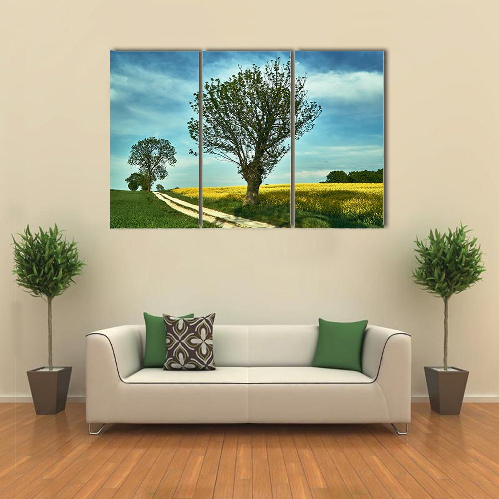 Blooming Rapeseed Poland Canvas Wall Art-3 Horizontal-Gallery Wrap-37" x 24"-Tiaracle