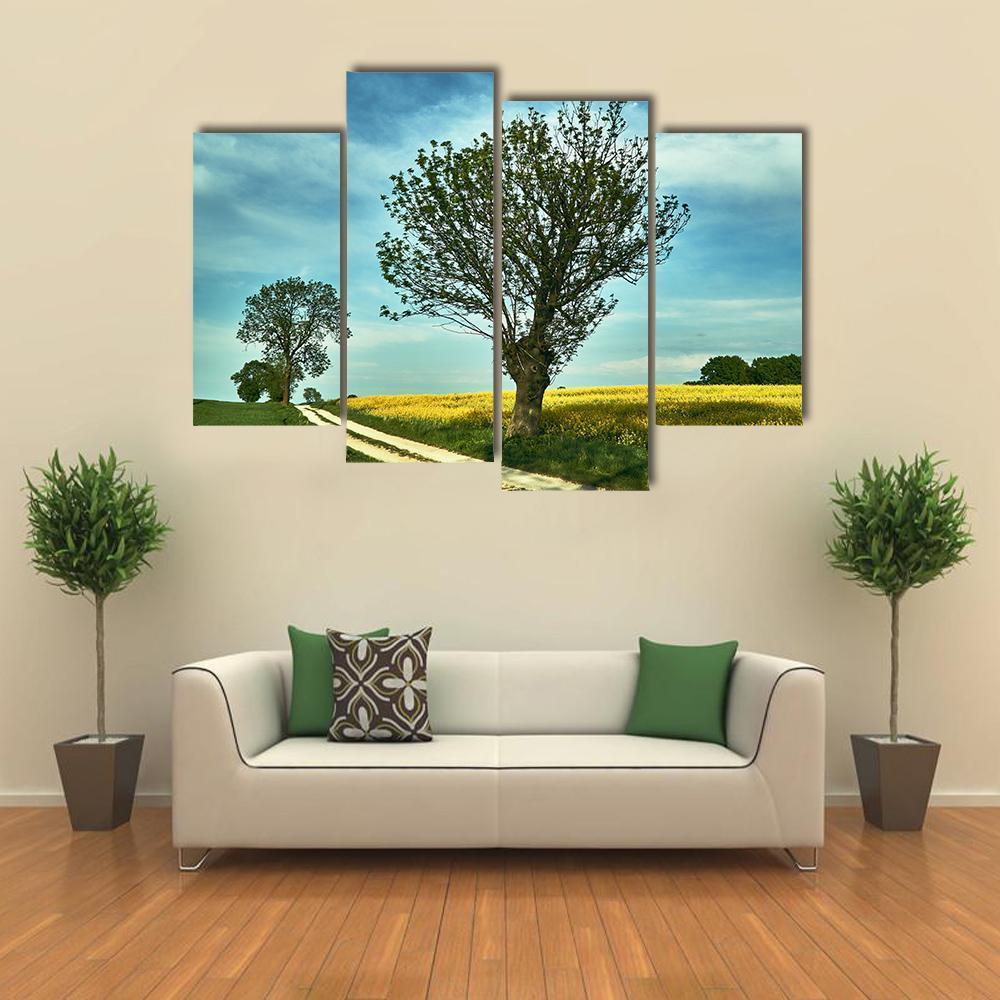 Blooming Rapeseed Poland Canvas Wall Art-4 Pop-Gallery Wrap-50" x 32"-Tiaracle