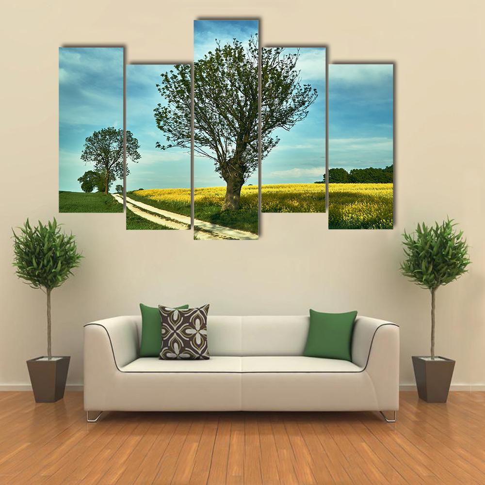Blooming Rapeseed Poland Canvas Wall Art-5 Pop-Gallery Wrap-47" x 32"-Tiaracle