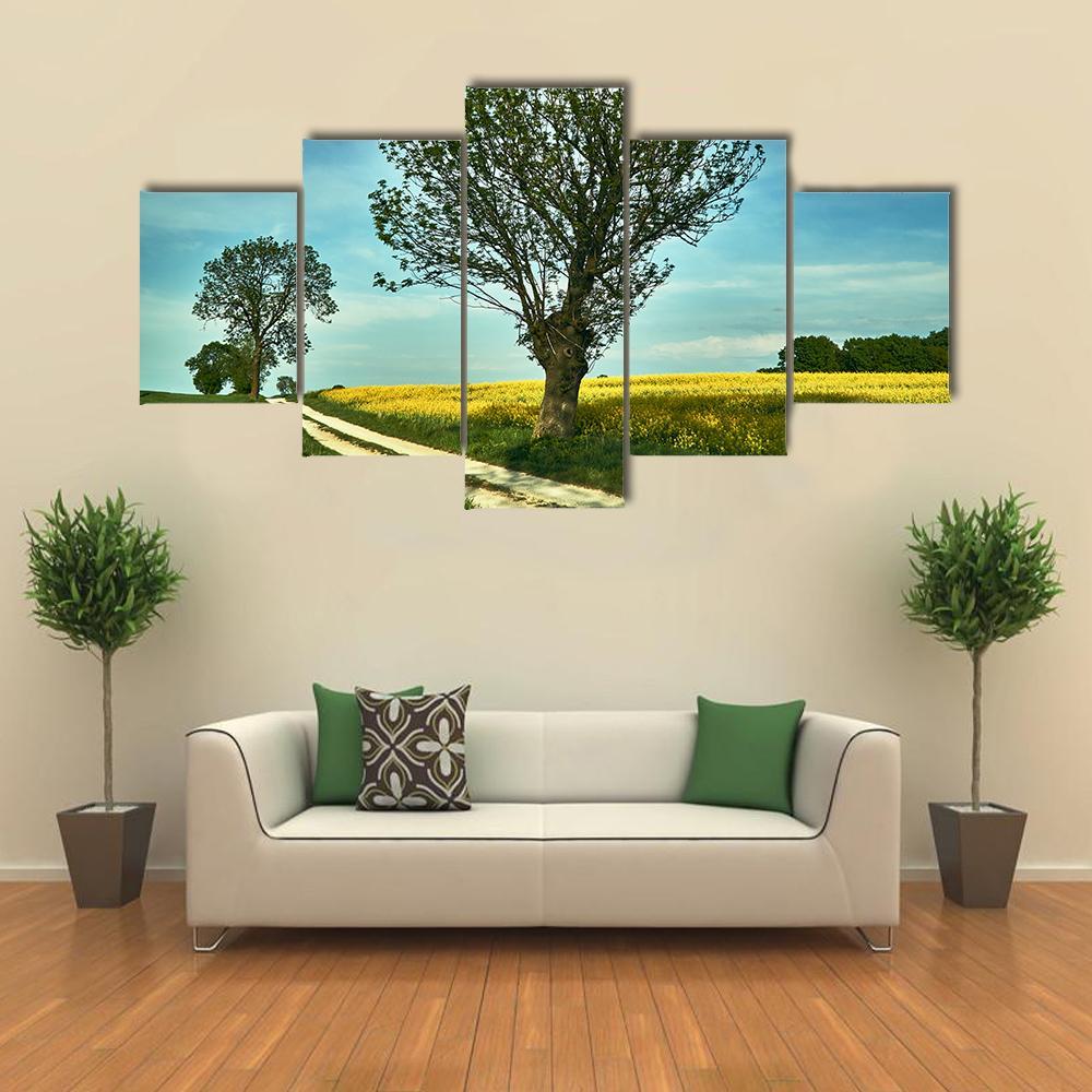 Blooming Rapeseed Poland Canvas Wall Art-1 Piece-Gallery Wrap-48" x 32"-Tiaracle