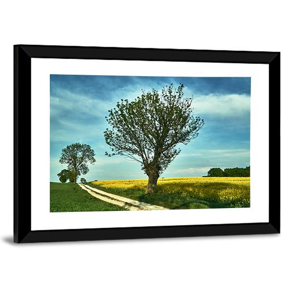 Blooming Rapeseed Poland Canvas Wall Art-3 Horizontal-Gallery Wrap-25" x 16"-Tiaracle