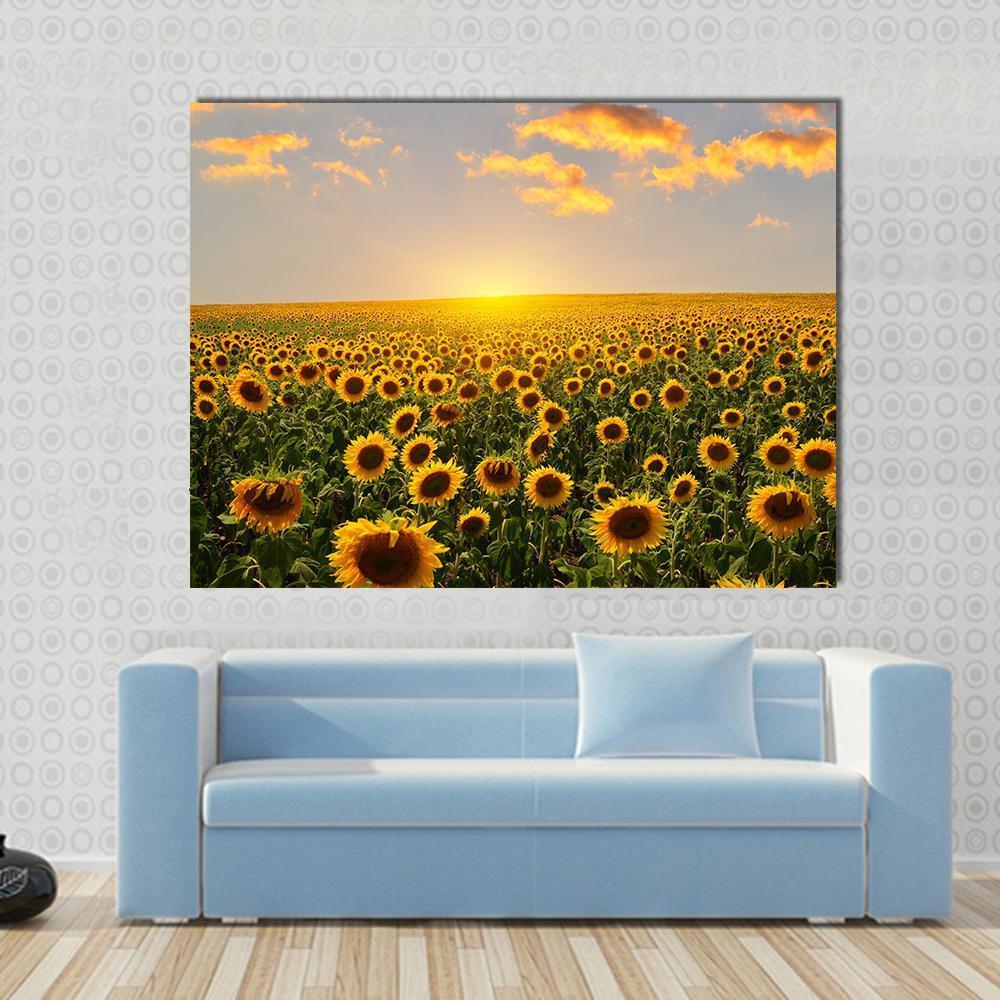 Blooming Sunflowers at Sunset Canvas Wall Art in orange, yellow and green, single panel hung on a wall