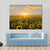 Blooming Sunflowers At Sunset Canvas Wall Art-3 Horizontal-Gallery Wrap-37" x 24"-Tiaracle