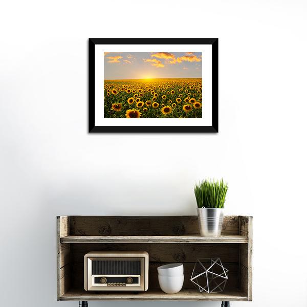 Blooming Sunflowers At Sunset Canvas Wall Art-1 Piece-Framed Print-20" x 16"-Tiaracle