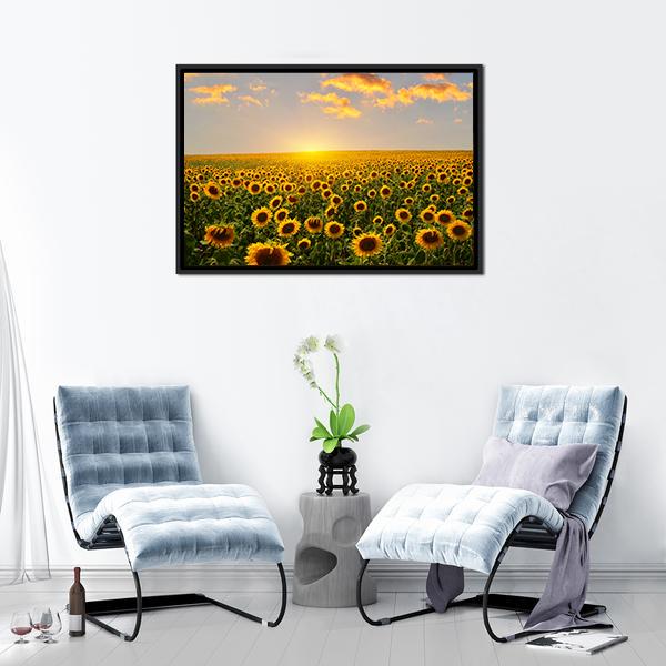 Blooming Sunflowers At Sunset Canvas Wall Art-3 Horizontal-Gallery Wrap-25" x 16"-Tiaracle
