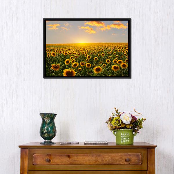 Blooming Sunflowers At Sunset Canvas Wall Art-1 Piece-Floating Frame-24" x 16"-Tiaracle
