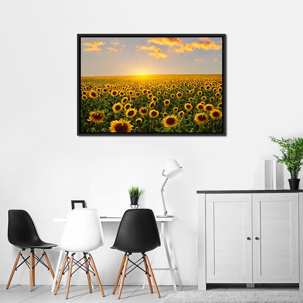 Blooming Sunflowers At Sunset Canvas Wall Art-3 Horizontal-Gallery Wrap-25" x 16"-Tiaracle