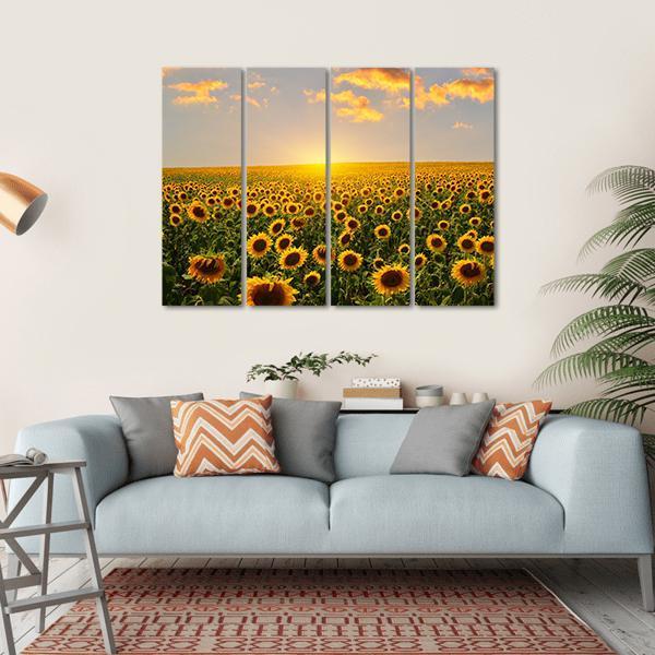 Blooming Sunflowers At Sunset Canvas Wall Art-4 Horizontal-Gallery Wrap-34" x 24"-Tiaracle