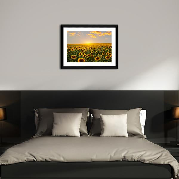 Blooming Sunflowers At Sunset Canvas Wall Art-3 Horizontal-Gallery Wrap-25" x 16"-Tiaracle