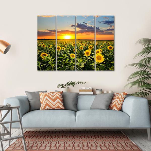 Blooming Sunflowers Canvas Wall Art-4 Horizontal-Gallery Wrap-34" x 24"-Tiaracle