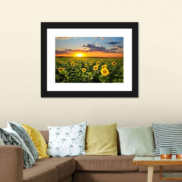 Blooming Sunflowers Canvas Wall Art-5 Horizontal-Gallery Wrap-22" x 12"-Tiaracle