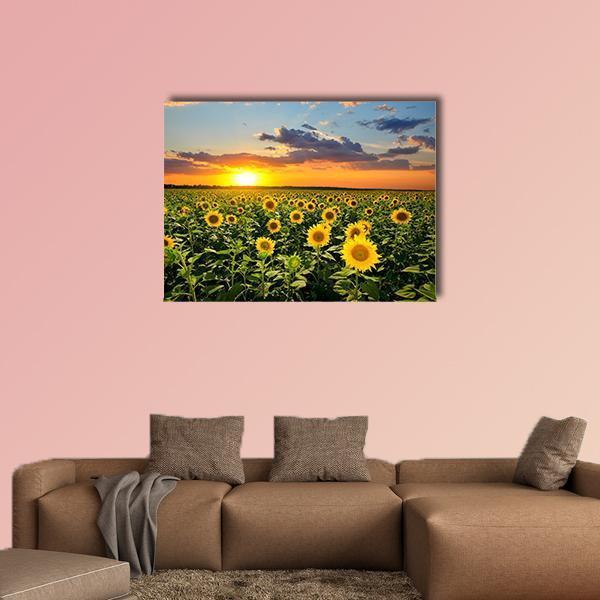 Sunflower Field at Sunset Canvas Wall Art in orange, yellow and green, single panel hung on a wall