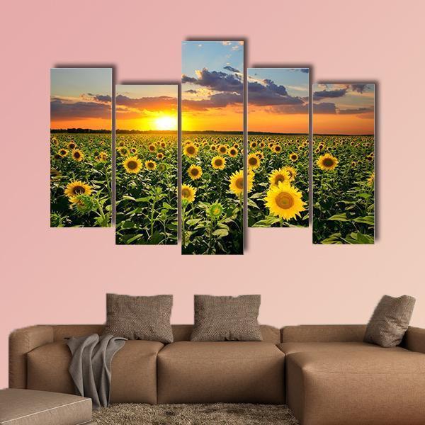 Blooming Sunflowers Canvas Wall Art-3 Horizontal-Gallery Wrap-37" x 24"-Tiaracle
