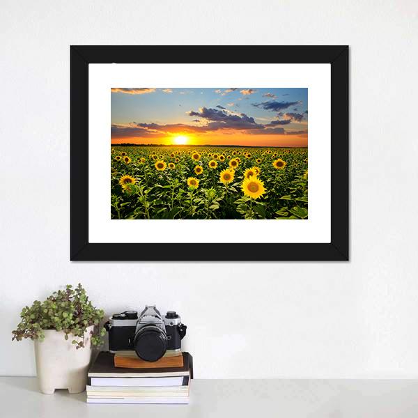 Blooming Sunflowers Canvas Wall Art-1 Piece-Framed Print-20" x 16"-Tiaracle