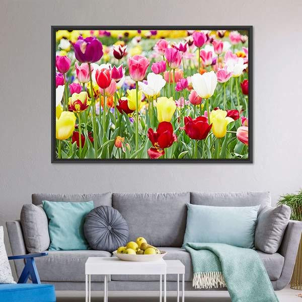 Blooming Tulips Canvas Wall Art-5 Horizontal-Gallery Wrap-22" x 12"-Tiaracle