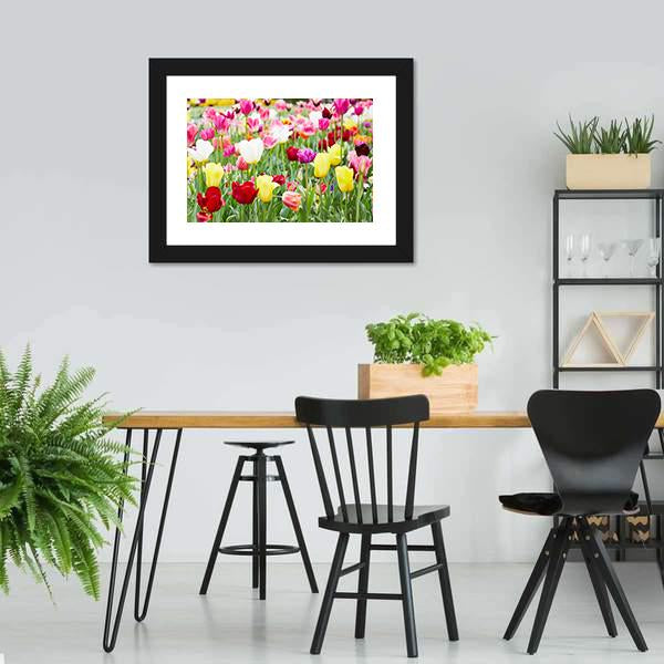 Blooming Tulips Canvas Wall Art-5 Horizontal-Gallery Wrap-22" x 12"-Tiaracle