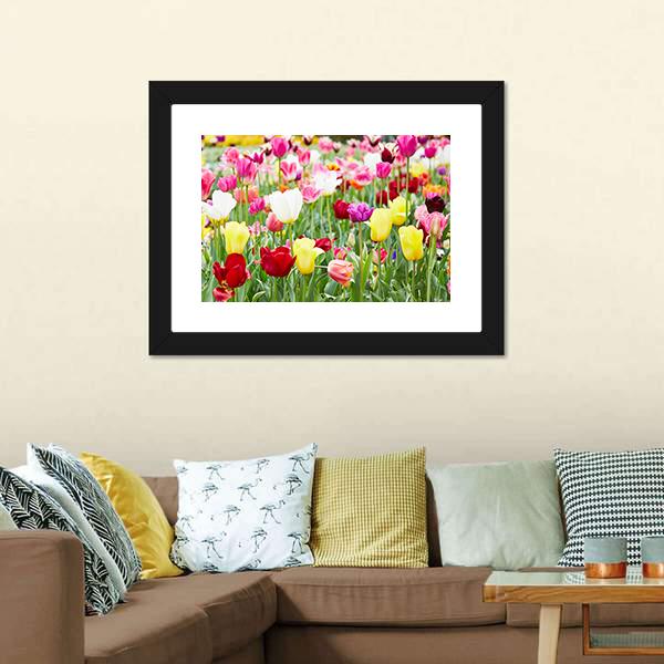 Blooming Tulips Canvas Wall Art-5 Horizontal-Gallery Wrap-22" x 12"-Tiaracle
