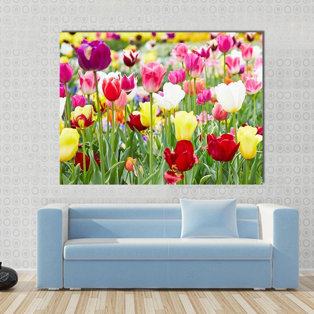 Blooming Tulips Canvas Wall Art in green, pink and multicolor, single panel hung on a wall