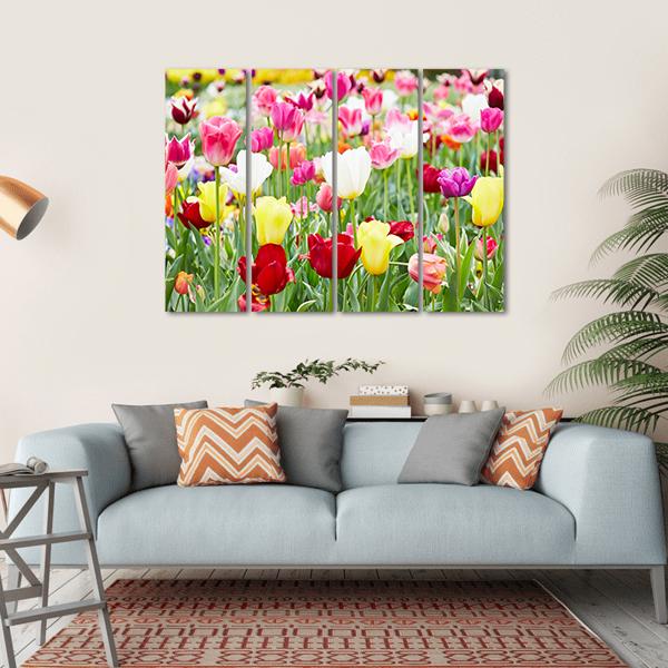 Blooming Tulips Canvas Wall Art-4 Horizontal-Gallery Wrap-34" x 24"-Tiaracle