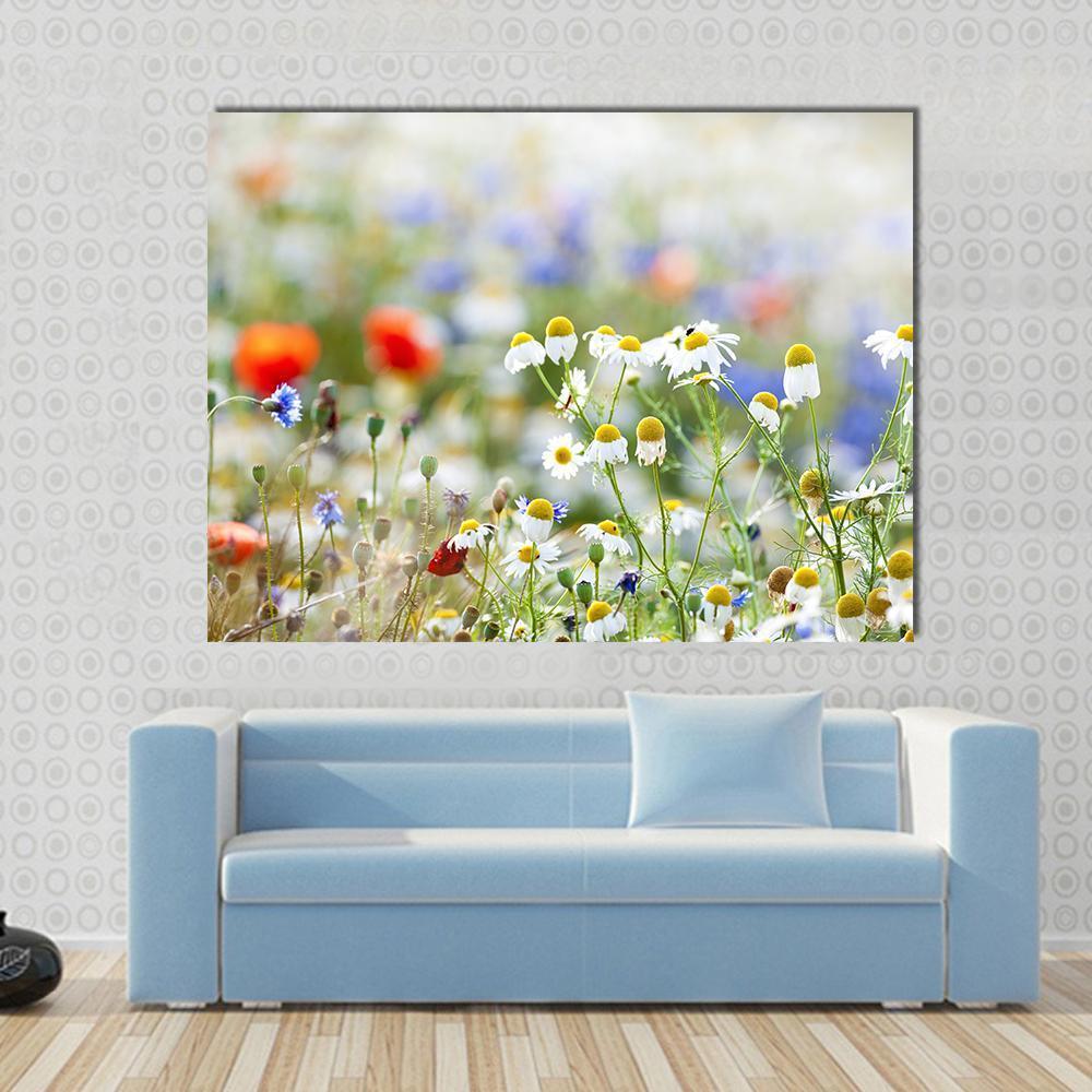 Blooming Wild Flowers Canvas Wall Art in white, green and multicolor, single panel hung on a wall