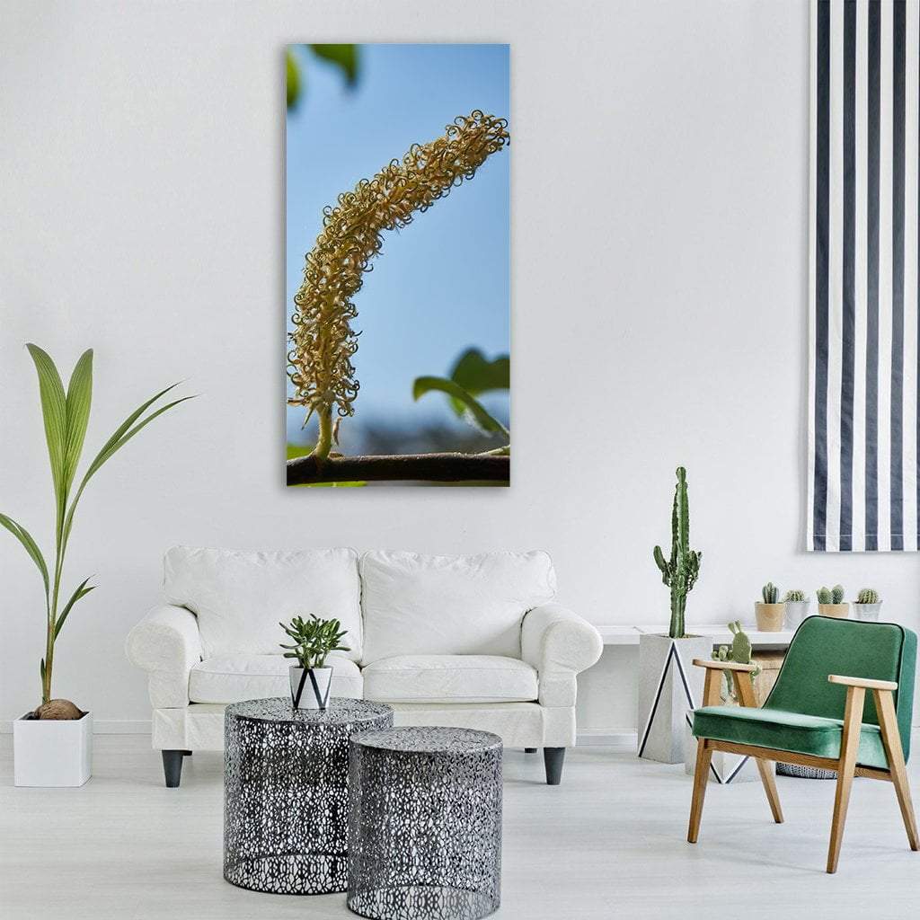 Blossom Kitten Salix Cinerea Vertical Canvas Wall Art-1 Vertical-Gallery Wrap-12" x 24"-Tiaracle