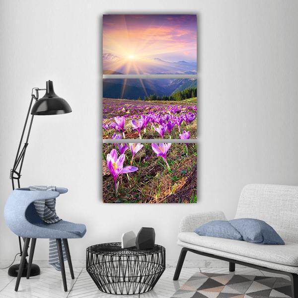 Purple Crocuses in Alpine Sunrise Vertical Canvas Wall Art in yellow, purple and pink, single vertical panel hung on a wall