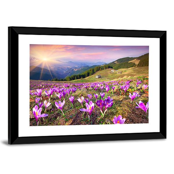 Blossom Of Crocuses Canvas Wall Art-5 Horizontal-Gallery Wrap-22" x 12"-Tiaracle