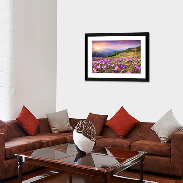 Blossom Of Crocuses Canvas Wall Art-5 Horizontal-Gallery Wrap-22" x 12"-Tiaracle