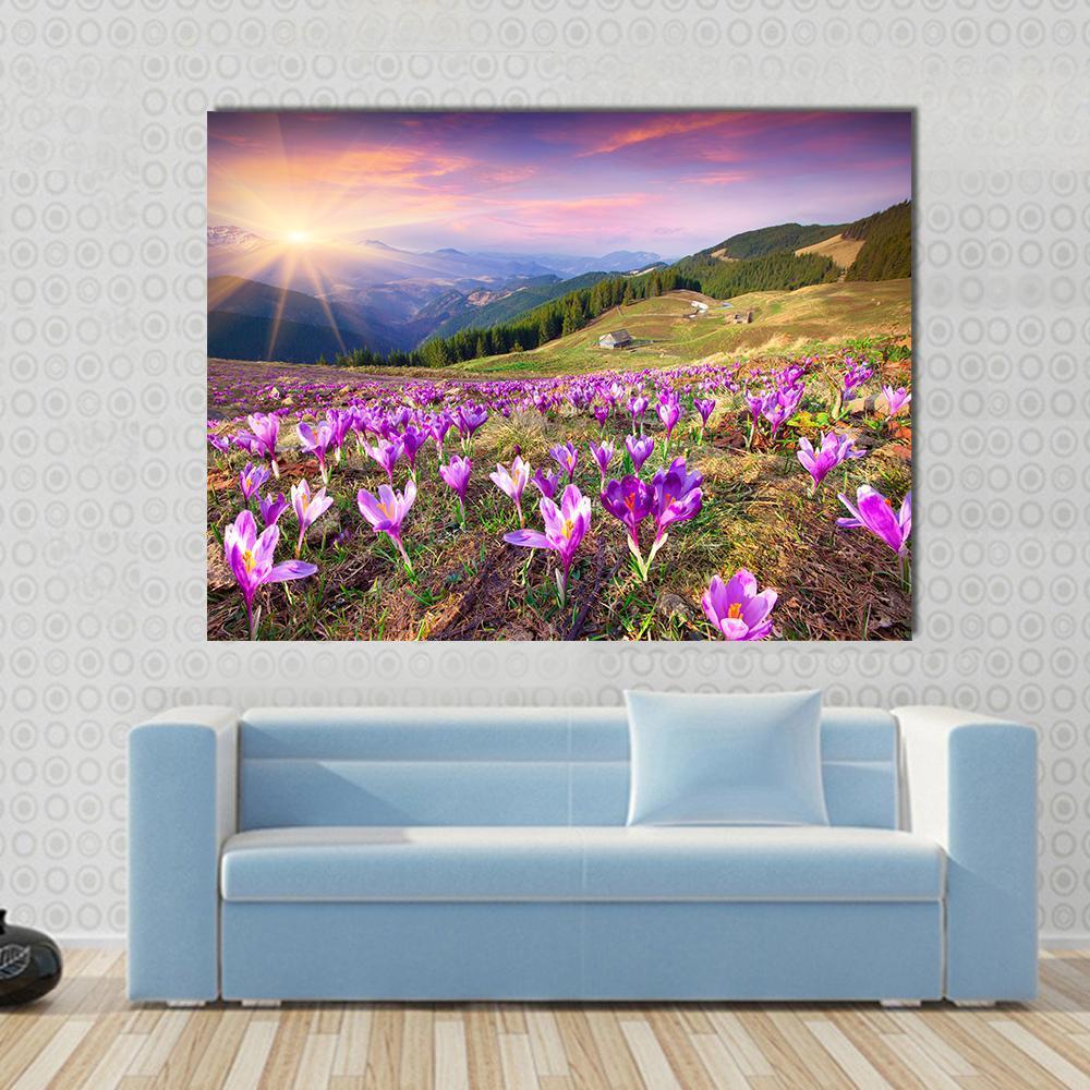 Blossom of Crocuses Canvas Wall Art in orange, green and purple, single panel hung on a wall