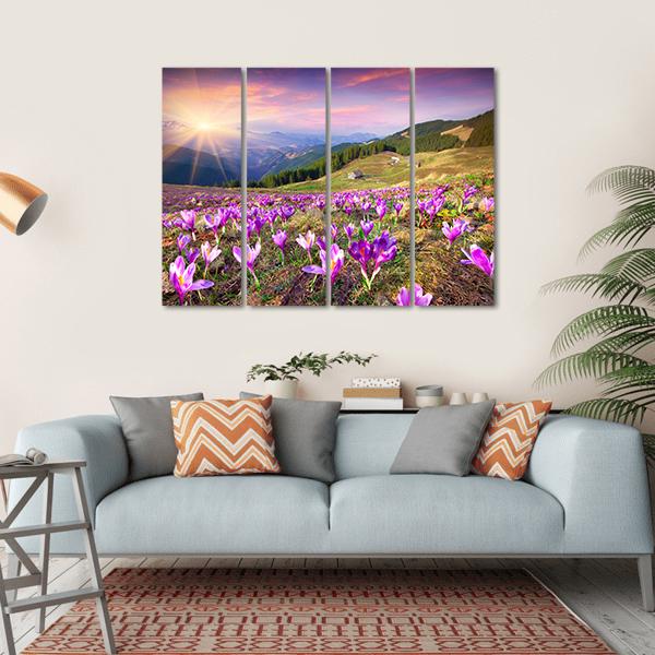 Field of Purple Crocuses at Sunrise Canvas Wall Art in yellow, green and purple, hung on a wall