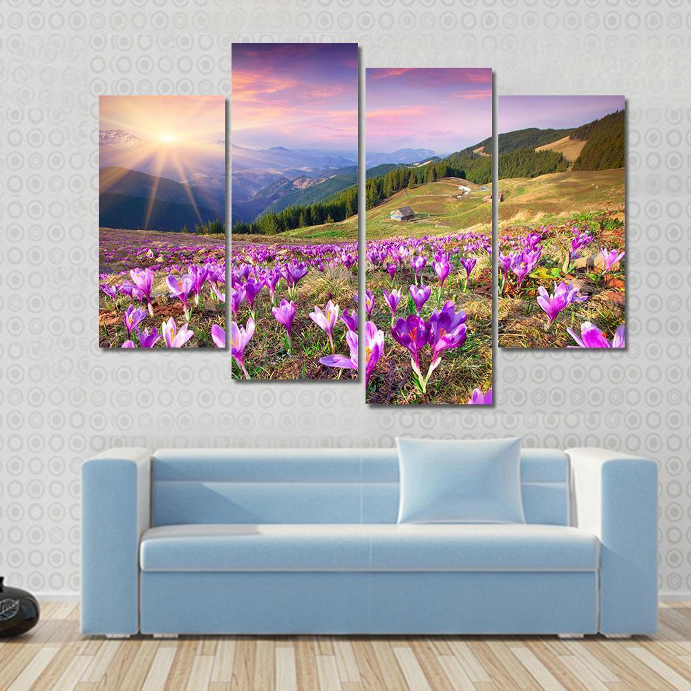 Blossom of Crocuses Canvas Wall Art in orange, green and purple, 4 panel Pop layout hung on a wall
