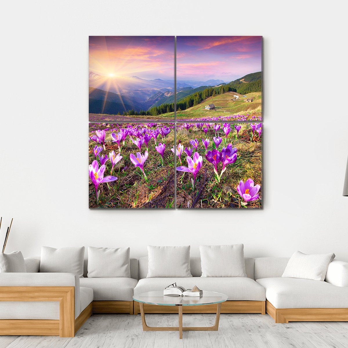 Field of Purple Crocuses at Sunrise Canvas Wall Art in yellow, green and purple, hung on a wall