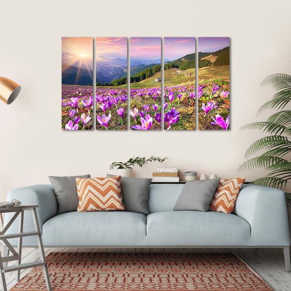 Blossom Of Crocuses Canvas Wall Art-5 Horizontal-Gallery Wrap-22" x 12"-Tiaracle
