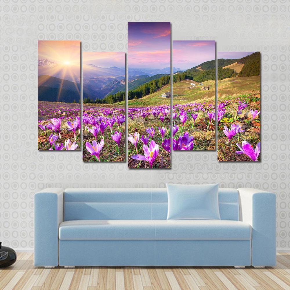 Blossom of Crocuses Canvas Wall Art in orange, green and purple, 3 panel horizontal set hung on a wall