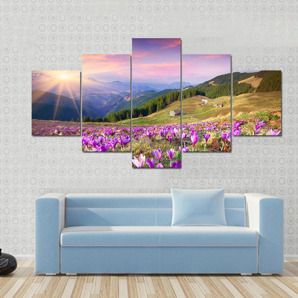 Blossom of Crocuses Canvas Wall Art in orange, green and purple, 3 panel horizontal set hung on a wall