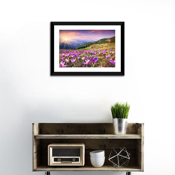 Blossom of Crocuses Canvas Wall Art in orange, green and purple, 3 panel horizontal set hung on a wall