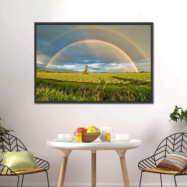 Blueberry Field Under Rainbow Canvas Wall Art-5 Horizontal-Gallery Wrap-22" x 12"-Tiaracle