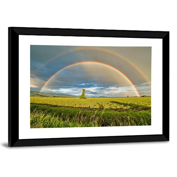 Blueberry Field Under Rainbow Canvas Wall Art-5 Horizontal-Gallery Wrap-22" x 12"-Tiaracle