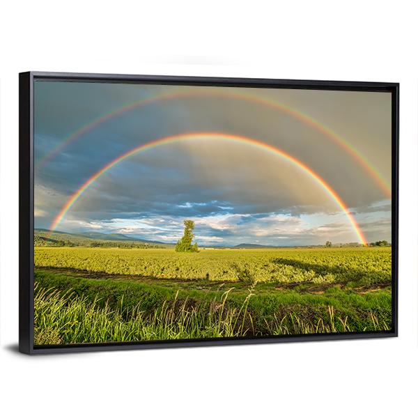 Blueberry Field Under Rainbow Canvas Wall Art-5 Horizontal-Gallery Wrap-22" x 12"-Tiaracle