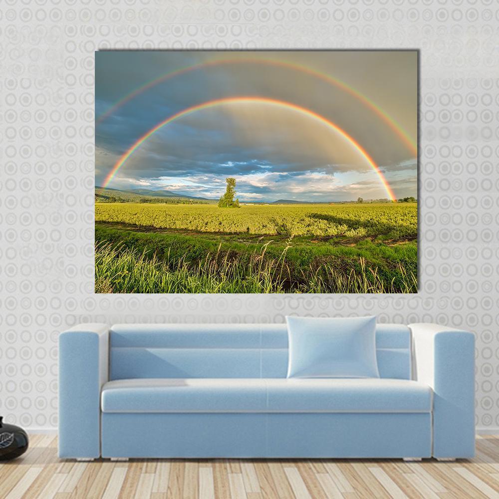 Blueberry Field Under Double Rainbow Canvas Wall Art in gray, green and blue, single panel hung on a wall