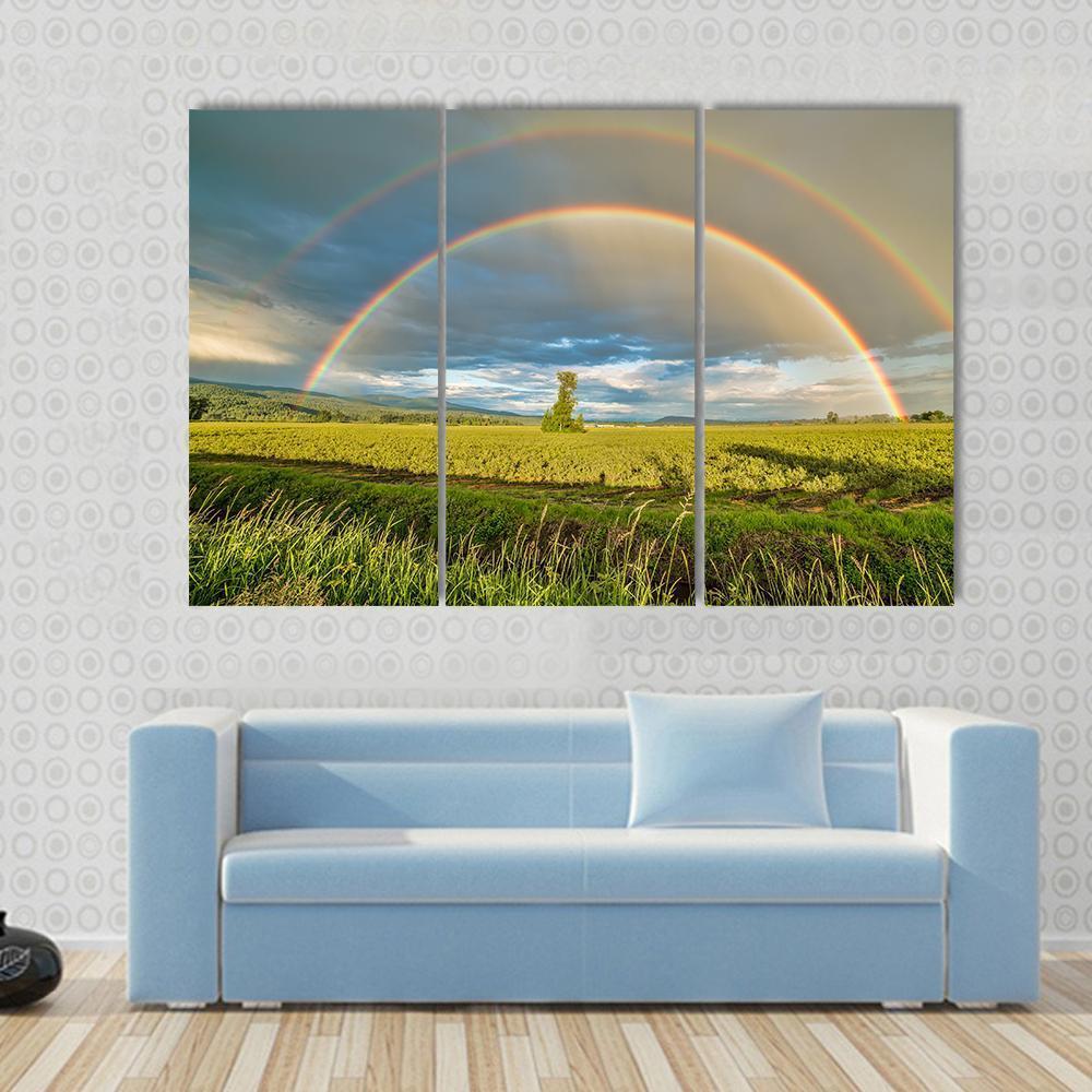 Blueberry Field Under Rainbow Canvas Wall Art-3 Horizontal-Gallery Wrap-37" x 24"-Tiaracle