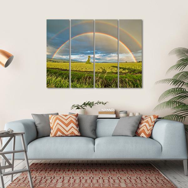 Blueberry Field Under Rainbow Canvas Wall Art-4 Horizontal-Gallery Wrap-34" x 24"-Tiaracle