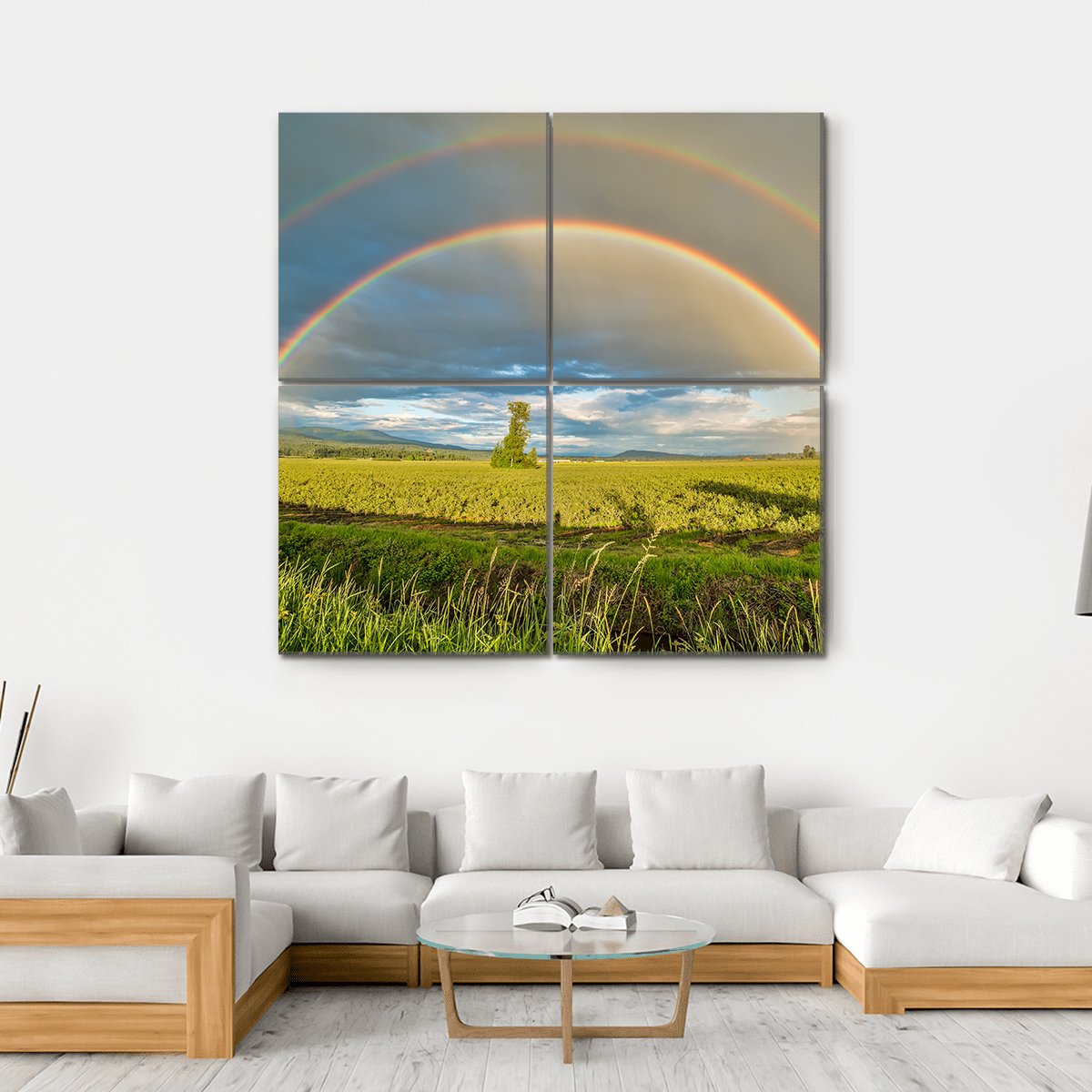 Blueberry Field Under Rainbow Canvas Wall Art-4 Square-Gallery Wrap-17" x 17"-Tiaracle