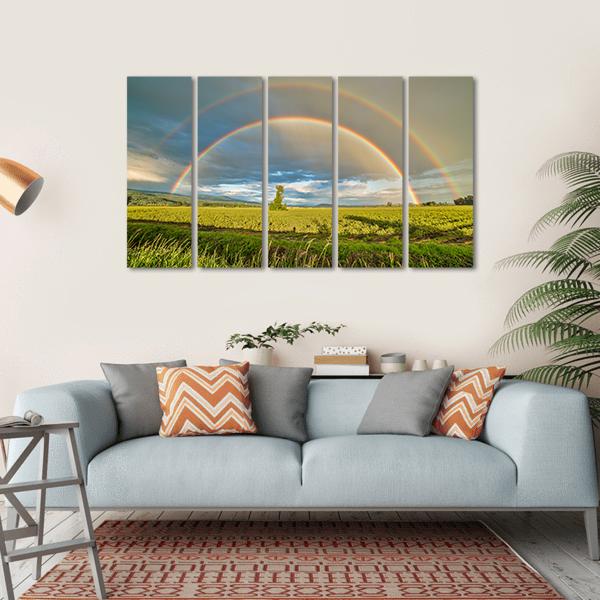 Blueberry Field Under Rainbow Canvas Wall Art-5 Horizontal-Gallery Wrap-22" x 12"-Tiaracle