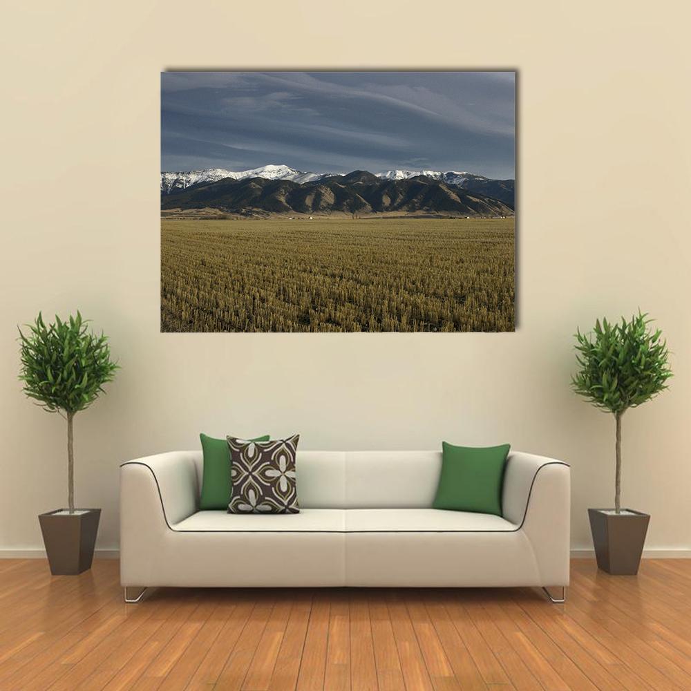 Snow-capped Bridger Mountains Over Harvested Field Canvas Wall Art in gray, brown and blue, single panel hung on a wall
