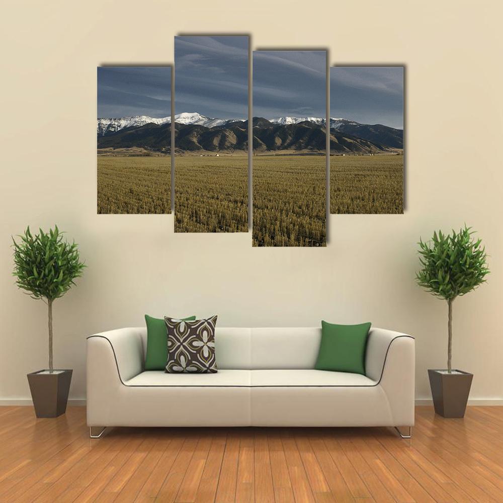 Bridger Mountains Montana Canvas Wall Art-4 Pop-Gallery Wrap-34" x 20"-Tiaracle